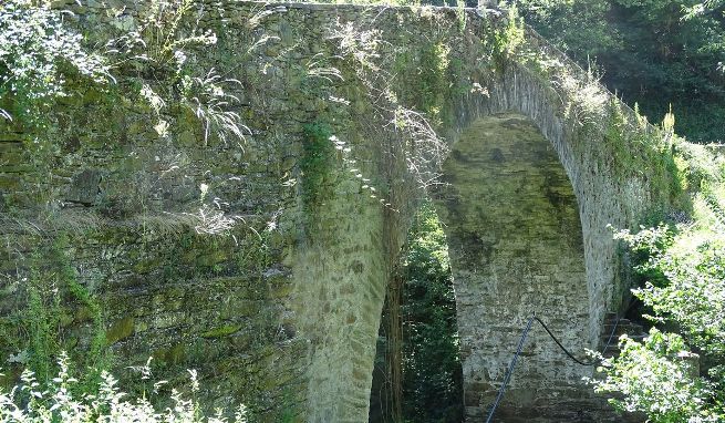 Denuncia cero acciones de limpieza de riberas y márgenes de los ríos