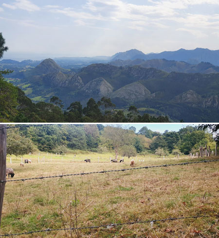 El cuidado del paisaje, los deportes de montaña y el senderismo registra records de visitantes en Asturias