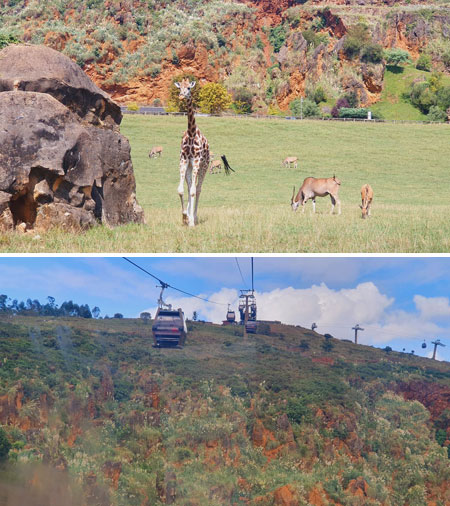 Cantabria: el referente rural en desarrollo sostenible y armonía del paisaje