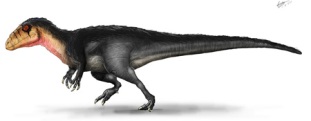 Un dinosaurio carnvoro de Portugal adelanta el origen de los carcarodontosaurios en Europa