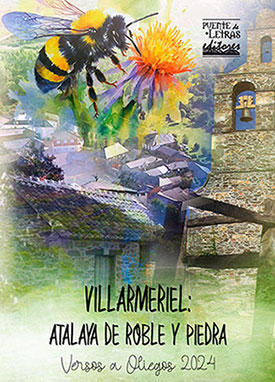 Versos a Oliegos a la orilla del Embalse de Villameca (León)