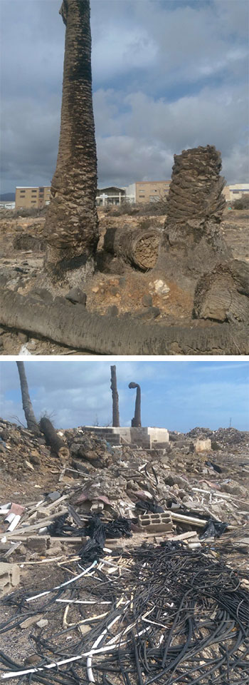 Trágicas siluetas en el paisaje