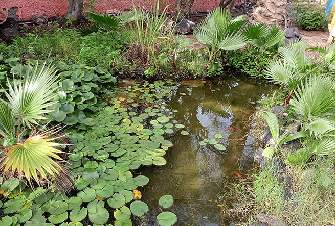 Jardines de la Paz. Crónica de un paseo.