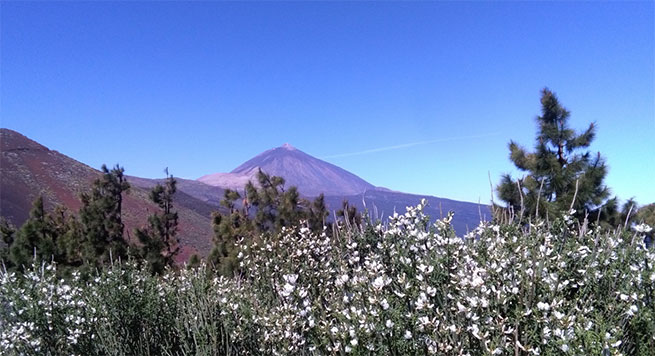 Tal día como hoy, hace cuatro años