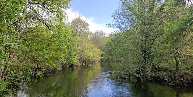 Rábade