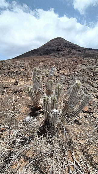 Jandía. Fuerteventura.