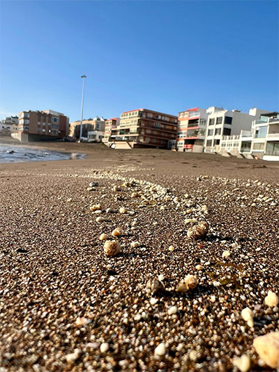 Algo huele a podrido