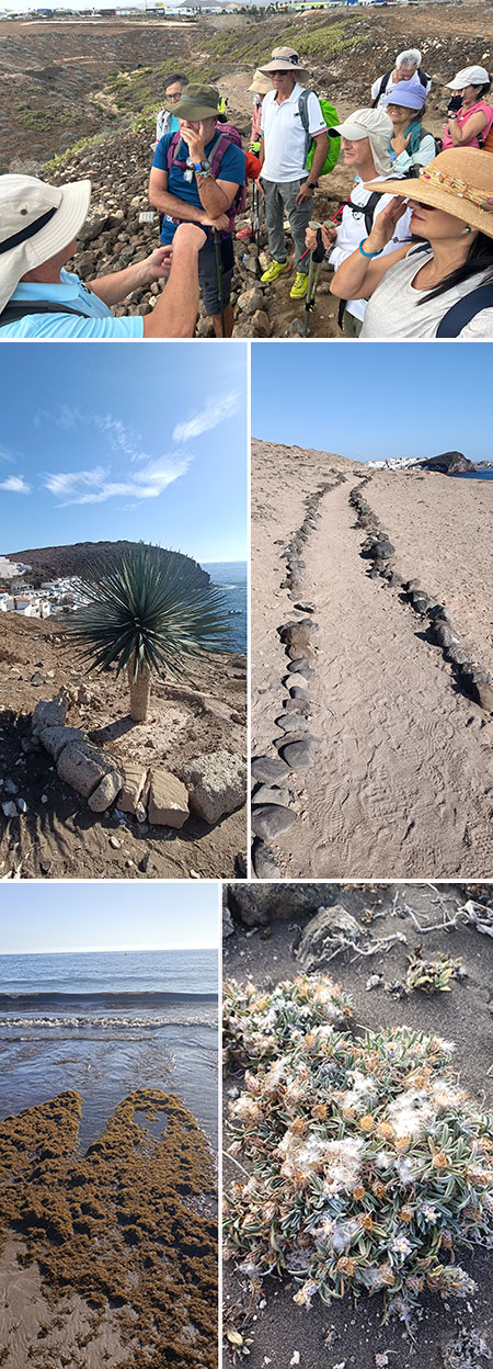 Sendero ecológico por los arenales de Tufia
