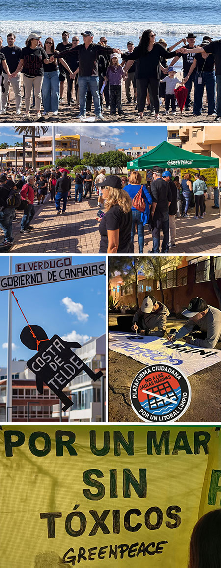 El arte de criar lubinas gourmet sobre un estercolero