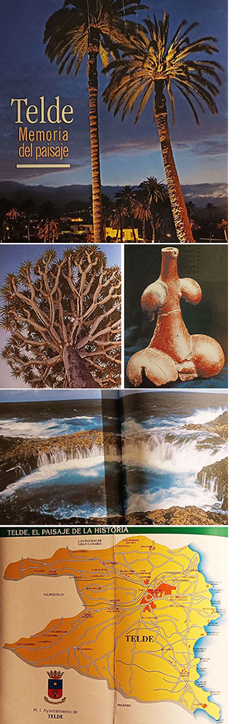Telde. El paisaje de la historia 
