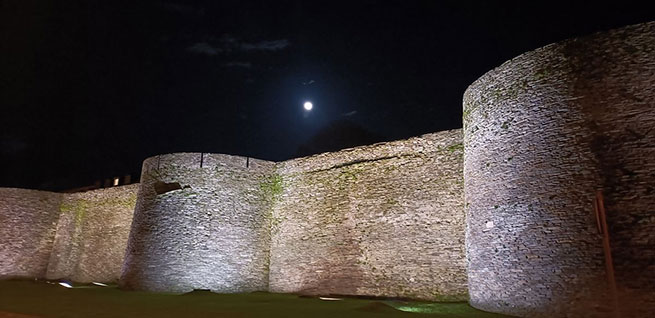 La muralla y sus vencejos