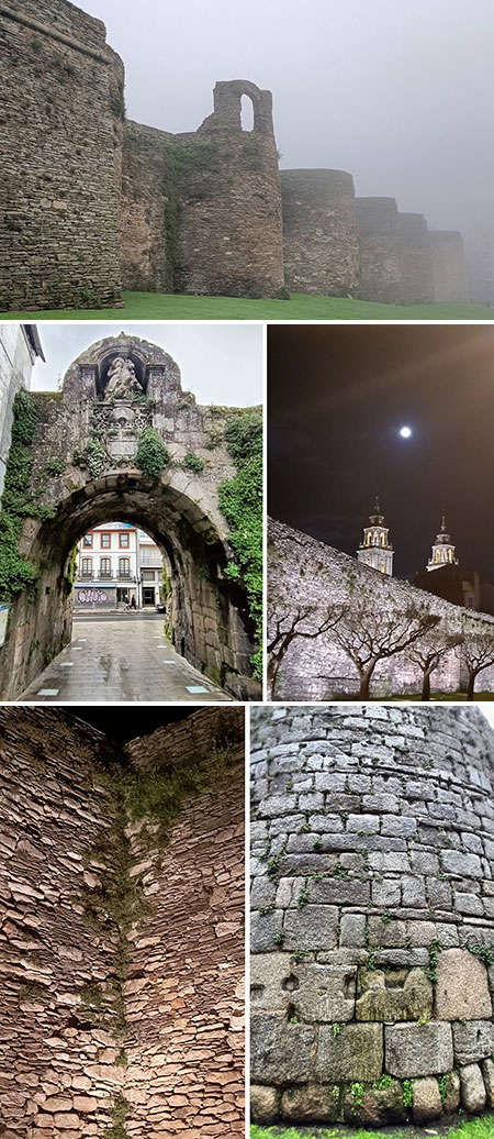 La muralla y sus vencejos