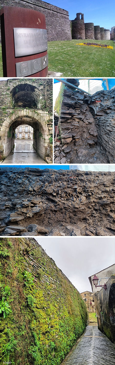 Las entrañas de la Muralla Romana