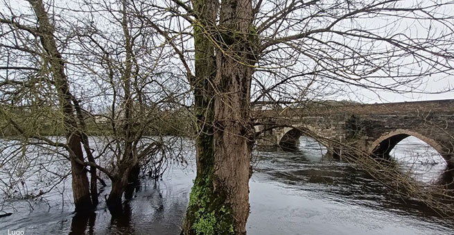 Más allá del diluvio