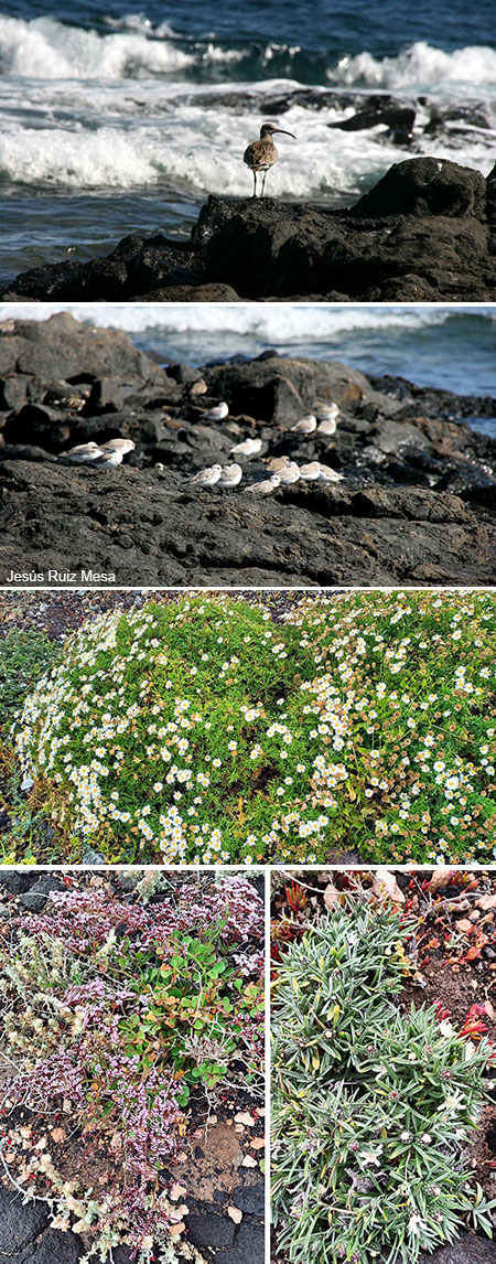 ¿Evidencias de la supraconciencia, señales divinas, sugestión colectiva o singular casualidad?