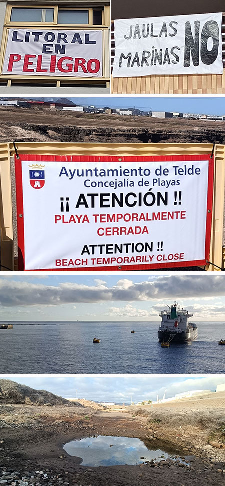 De las jaulas marinas de Telde, todos son Responsables