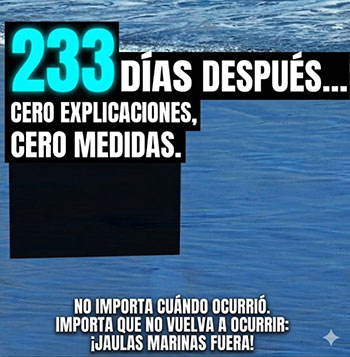 Nuestras costas mueren