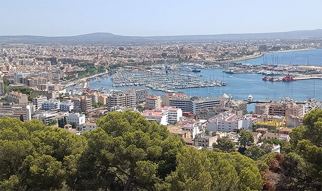 Palma, el bosque y el castell de Bellver