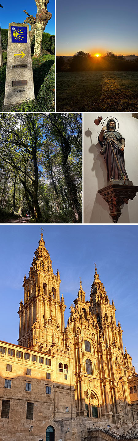 O Camiño