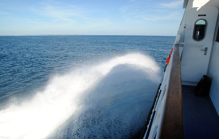 Pensando en viajar en ferry? Conoce un poco ms sobre su industria