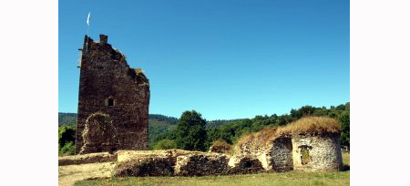 Genealogía de la Familia Bolaño Ribadeneyra (II)