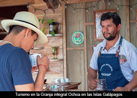 Ecuador desde los sentidos: turismo sostenible con aroma de café 