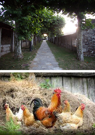 Violencia de xénero (9)