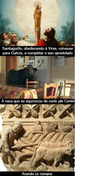 Volvendo ao rego, volvendo ao camiño (1)