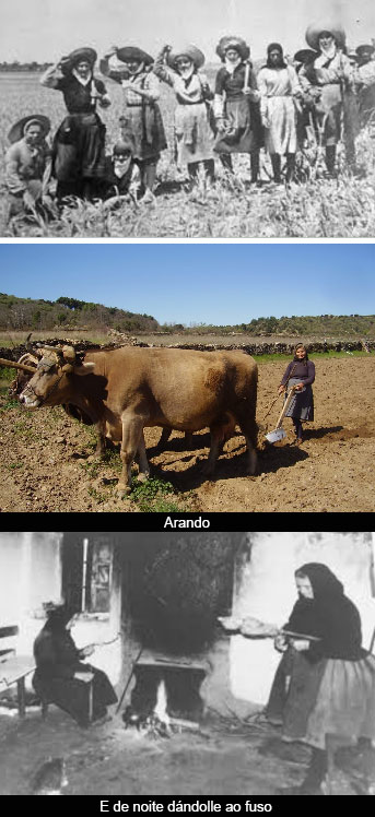 As escolas no franquismo (14)