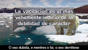 Vivir a vida / Advento (16)
