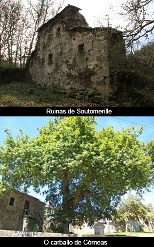 Testamento aberto (11)