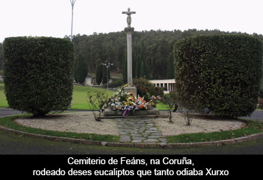 Testamento aberto (21)