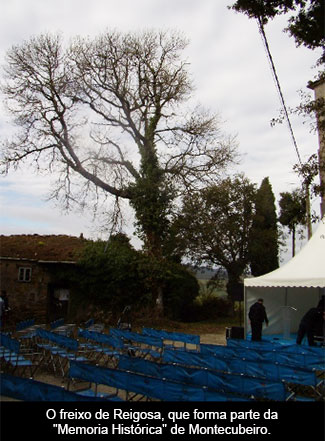 Sucesos incríbles (2)