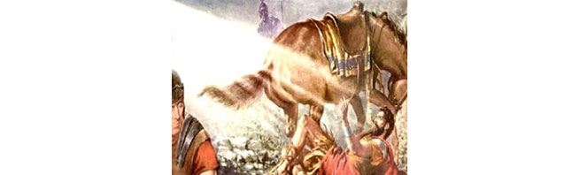 ¡Xo, cabalo; xo! (4)