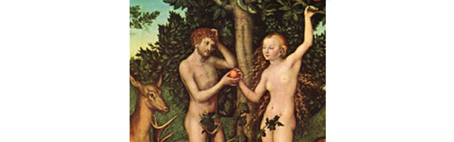 ¡Xo, cabalo; xo! (4)