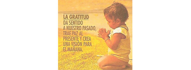 ¡Xo, cabalo, Xo! (16)