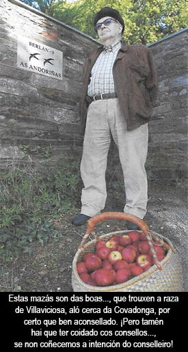 A subxectividade das varas de medir... de medir as consecuencias (1)