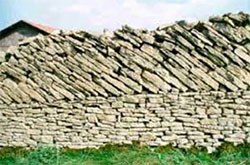 A subxectividade das varas de medir..., de medir as consecuencias (5)