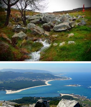 A subxectividade das varas de medir..., de medir as consecuencias (11)