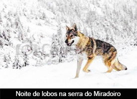 Criarse, vivir é unha gozada (14)