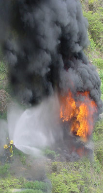 A eiva dos incendios