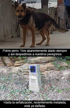 Camino de perros