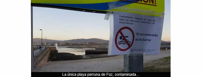 La nica playa perruna de Foz, contaminada