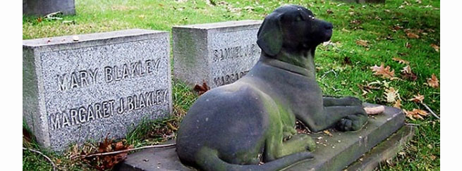 Un cementerio para mascotas en Lugo, una acertada iniciativa