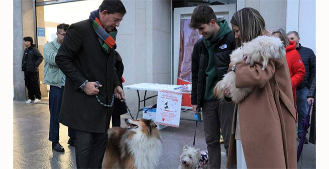 Fotos con perritos s... ayudar a la Protectora no
