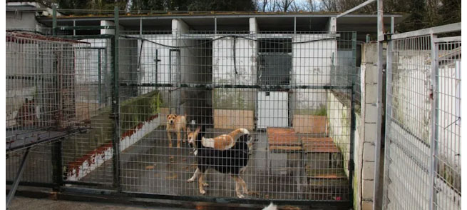 �A qu� esperan para avanzar con la Protectora?