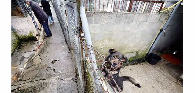 Se acab� el tiempo de andar con pa�os calientes