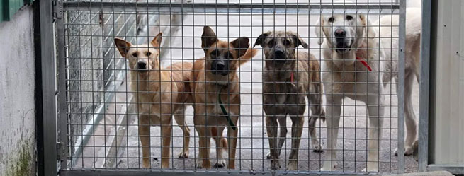 Algo se mueve... pero no es suficiente