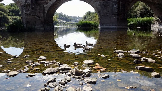 Muchas gracias, profesor