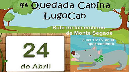 Quedada canina en Lugo este domingo